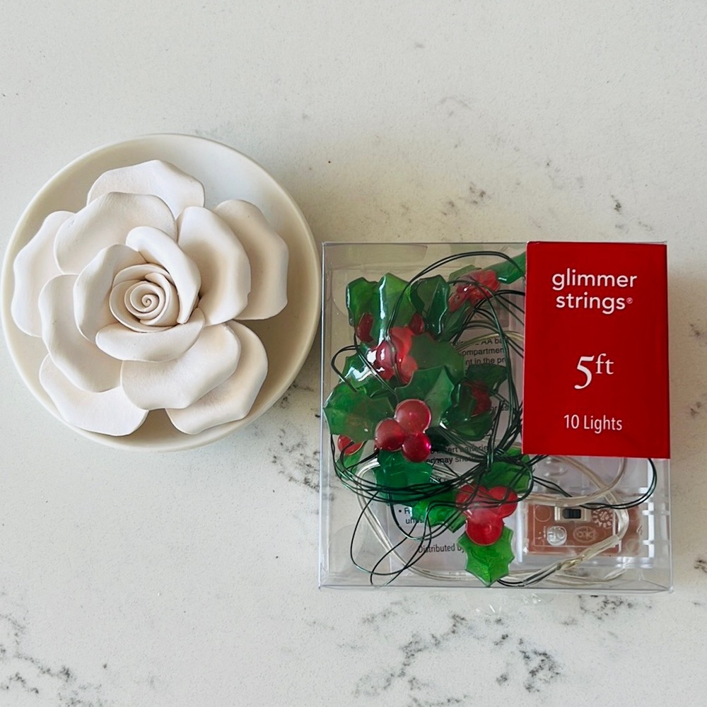 Pier 1  Holly Glimmer 5' LED  String lights